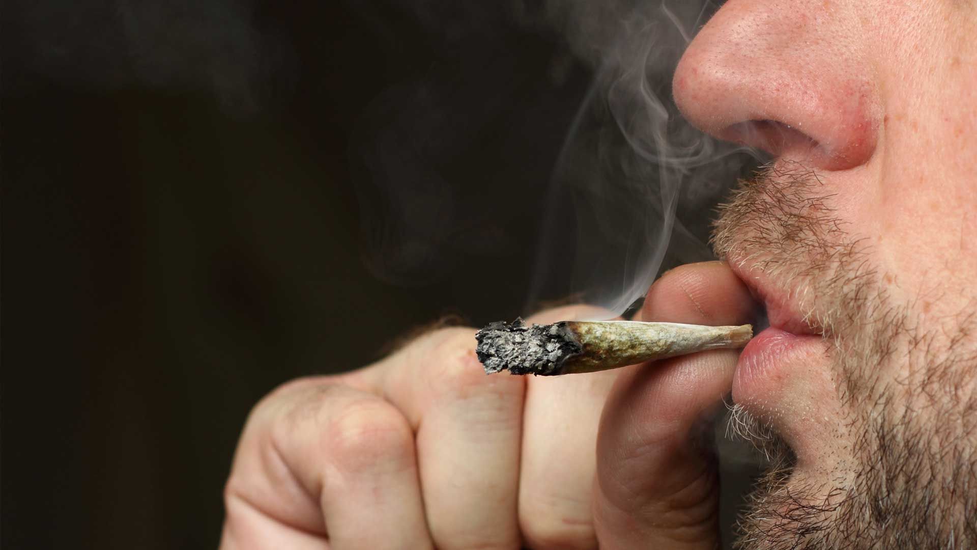 Cannabis